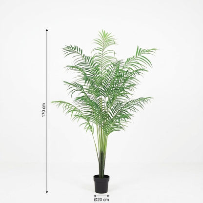 Kunstplant Kentia palm - 170cm