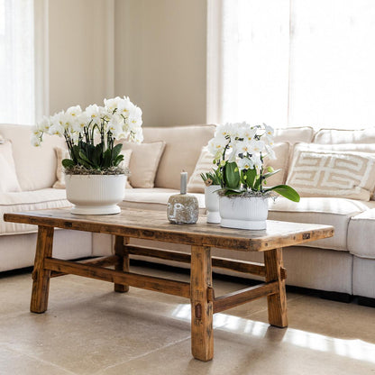 Diabolo pot white - Ø6cm