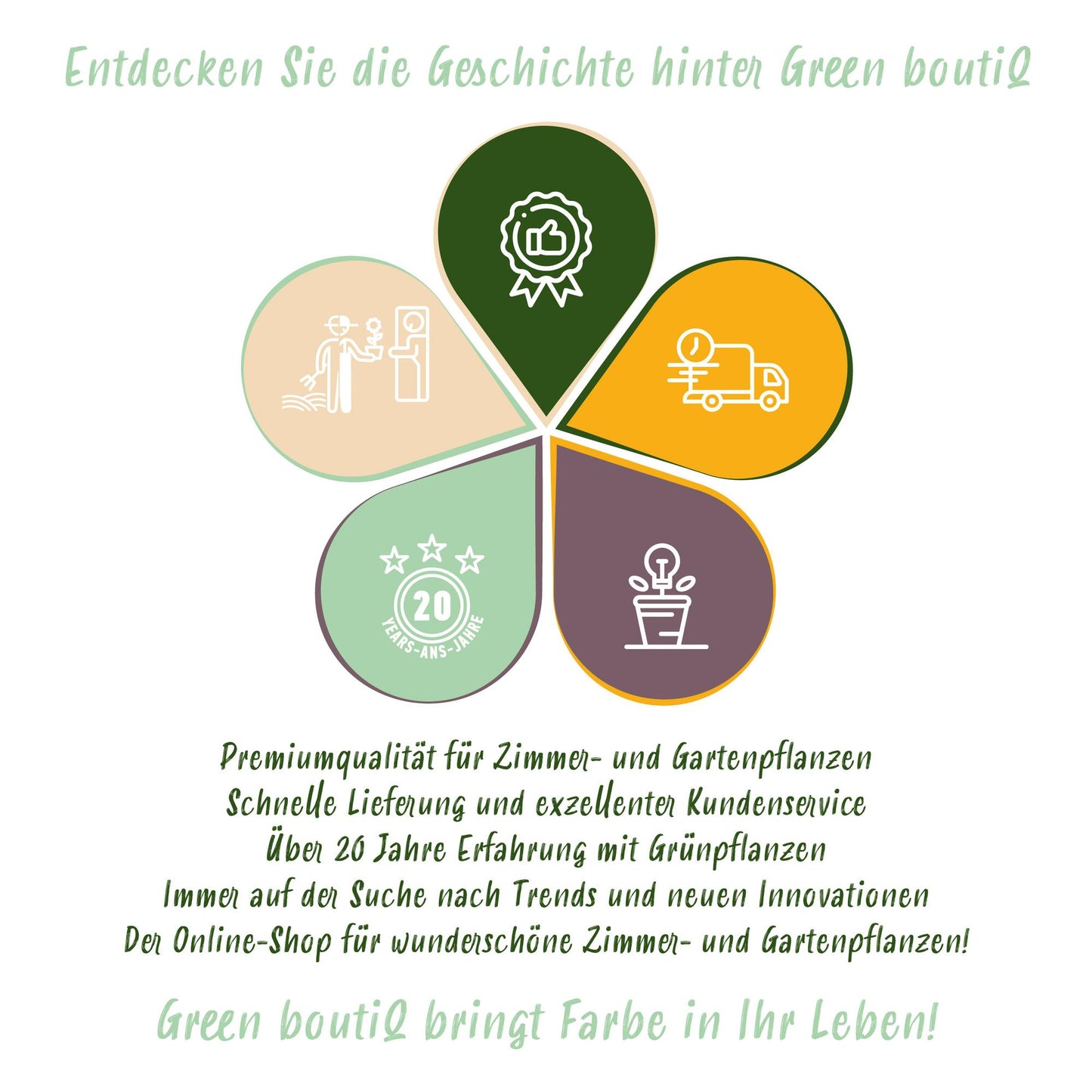 Borderpakket - Schaduw - 8 Vaste planten