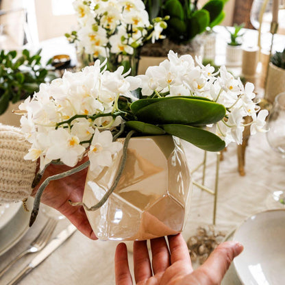 Witte orchidee 'Nazaré' + Pearl sierpot Travertine