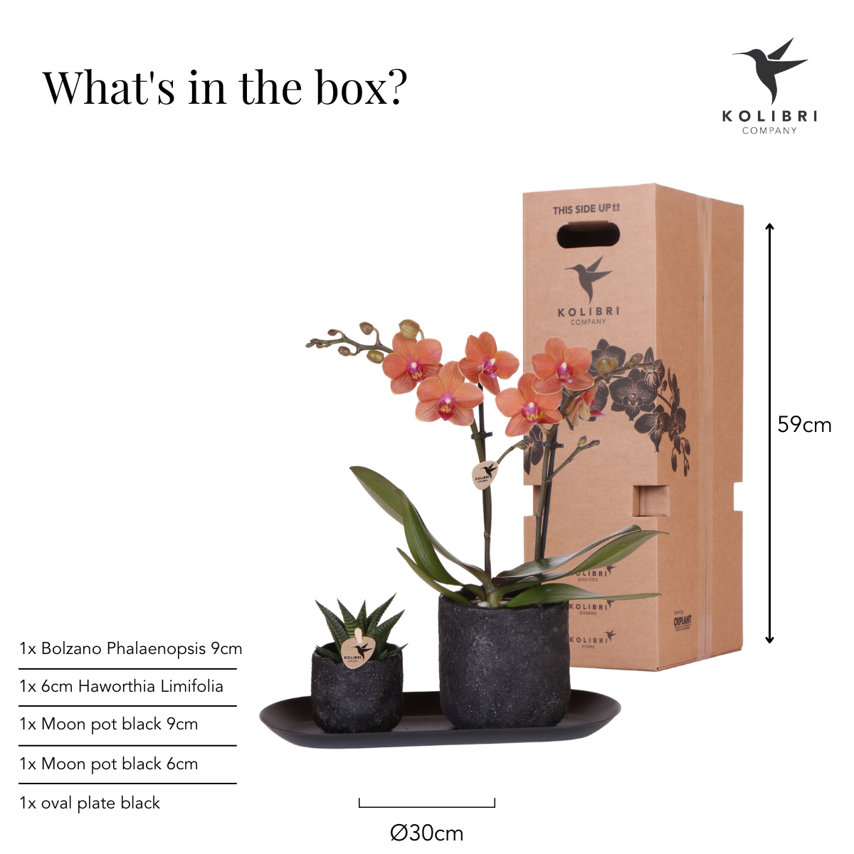 Plantenset Home Hub small