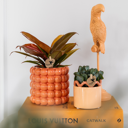 Poppy sierpot - Orange - Ø9cm