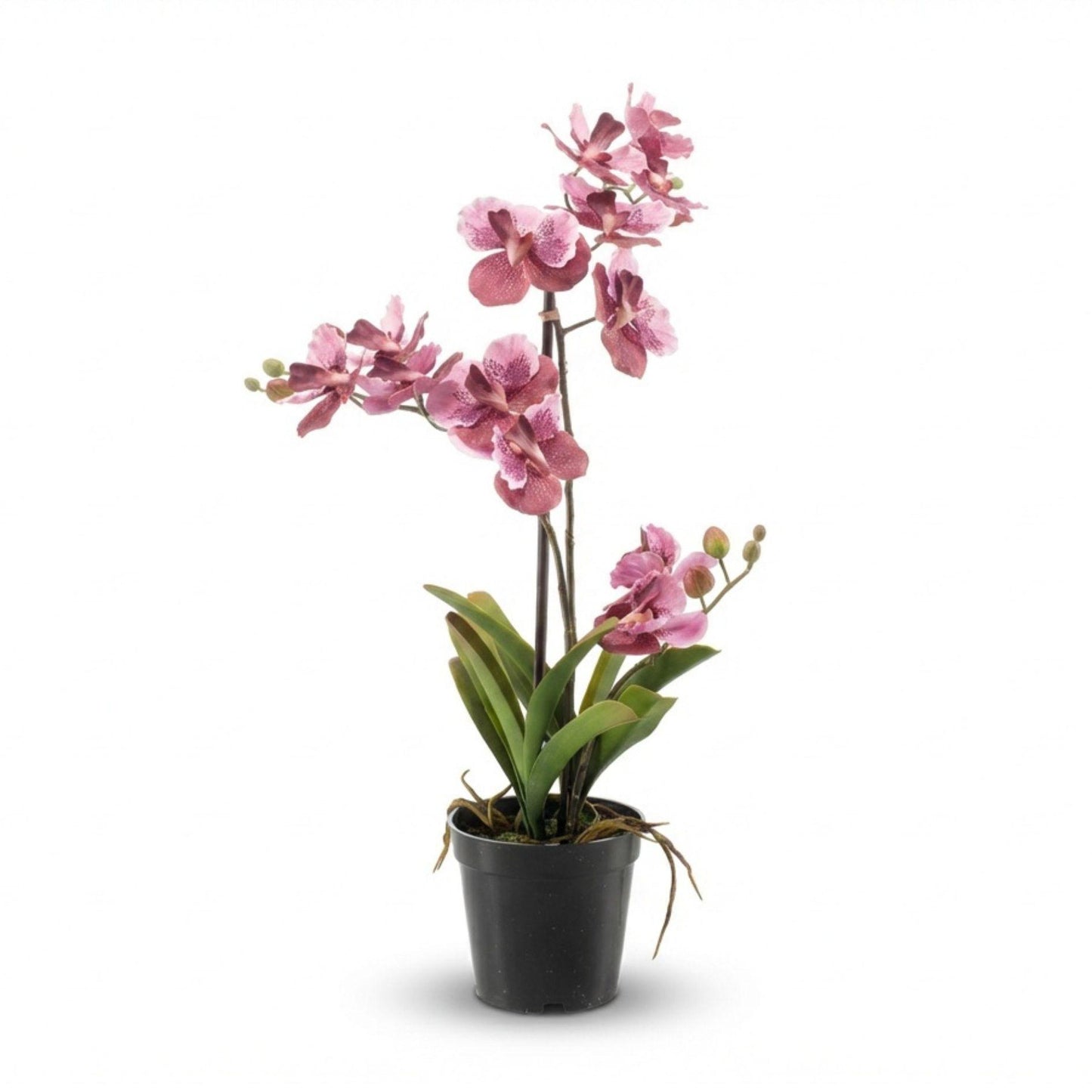 Kunstplant - orchidee Vanda - 60 cm