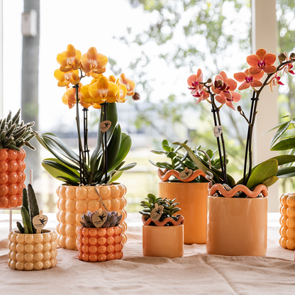 Poppy sierpot - Peach - Ø6cm