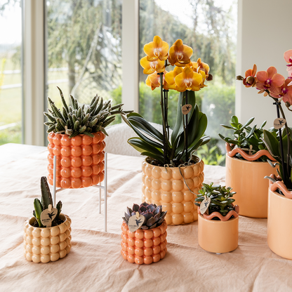 Poppy sierpot - Orange - Ø9cm