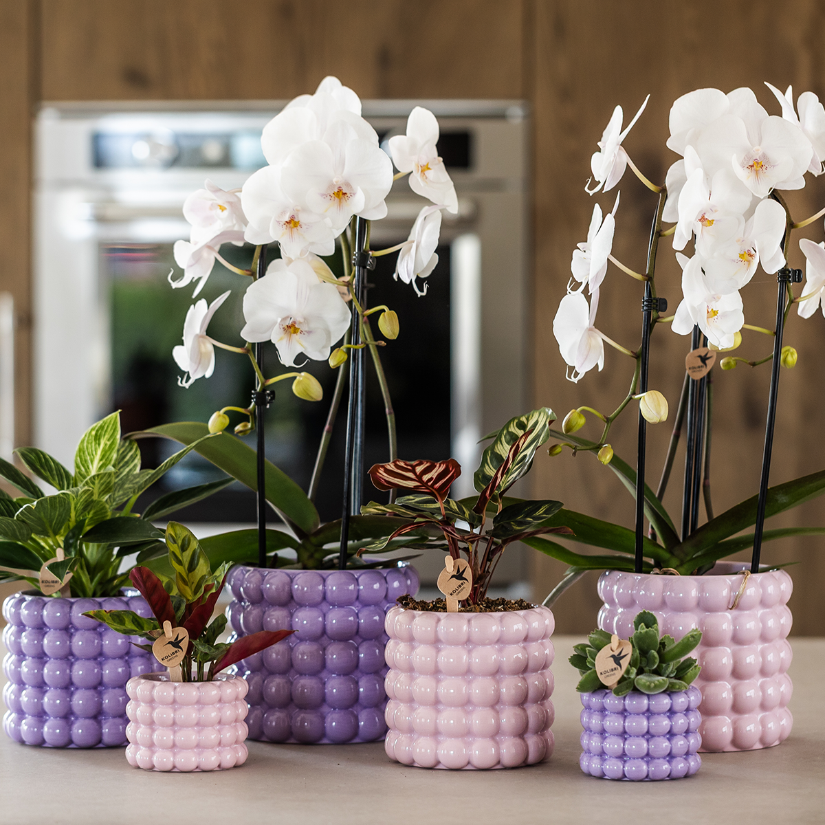 Poppy sierpot - Purple - Ø9cm