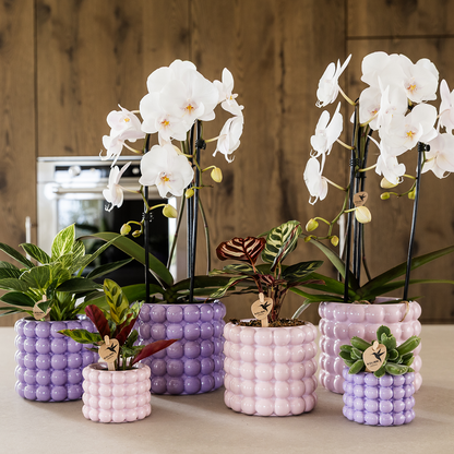 Poppy sierpot - Purple - Ø6cm