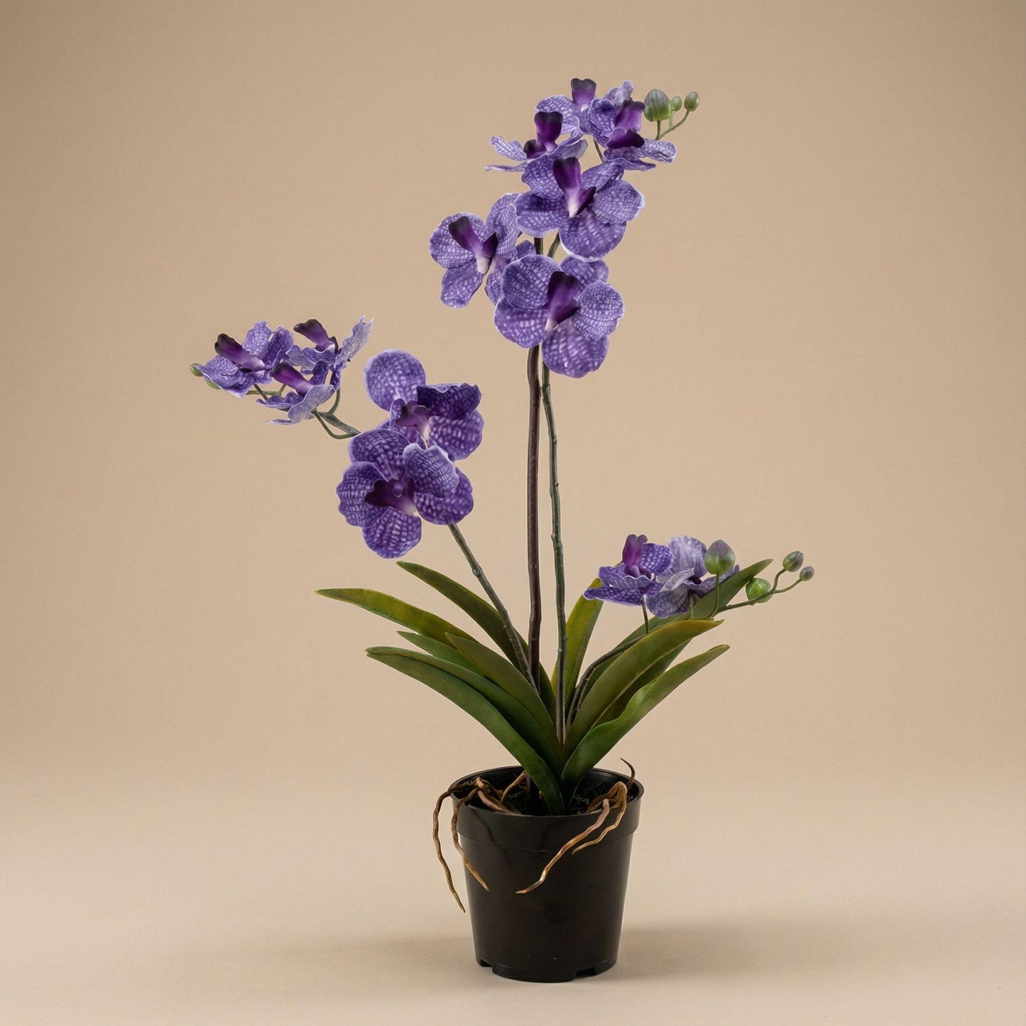 Kunstplant - Orchidee Vanda - 60 cm