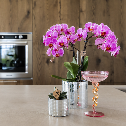 Disco sierpot - Ø6cm