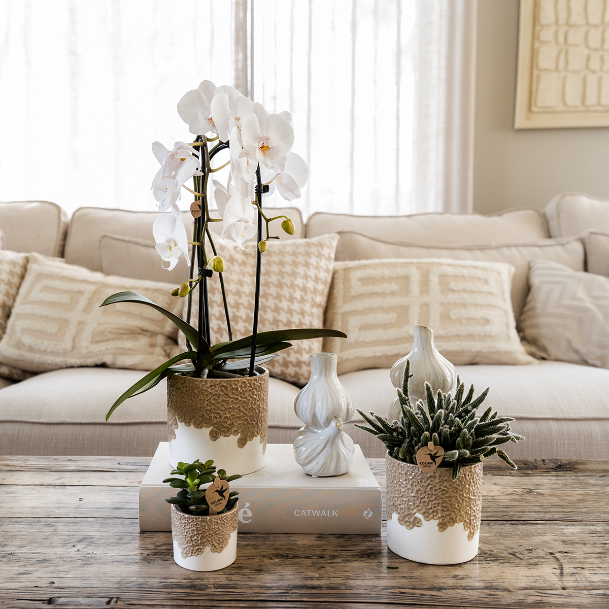 Plantenset Bloom Sand