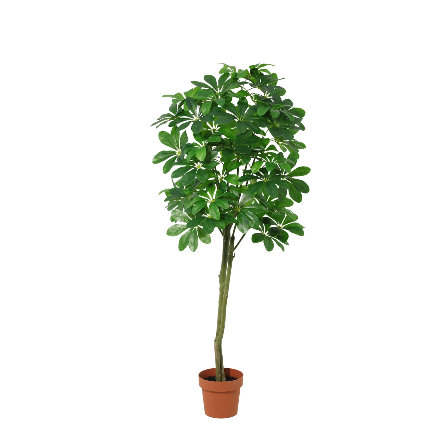 Kunstplant Pachira Aquatica - 150cm