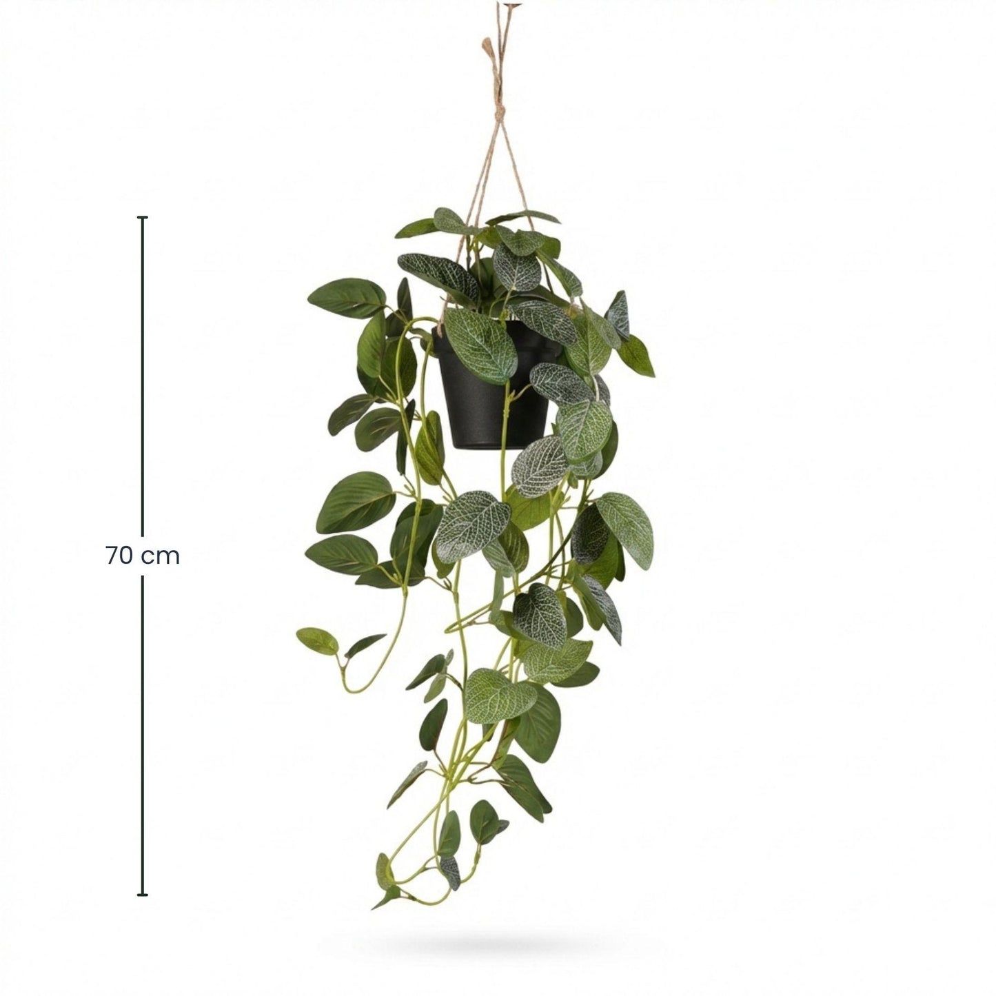 Kunstplant - Hangplant Fittonia - 70 cm