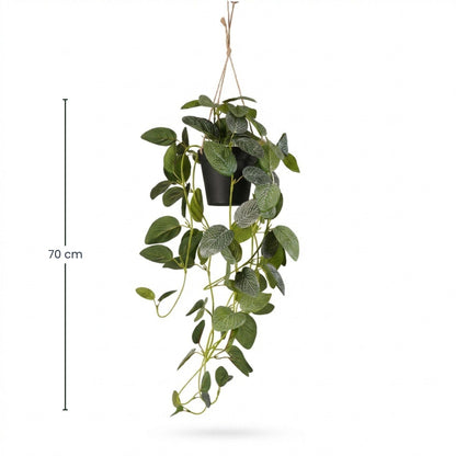 Kunstplant - Hangplant Fittonia - 70 cm