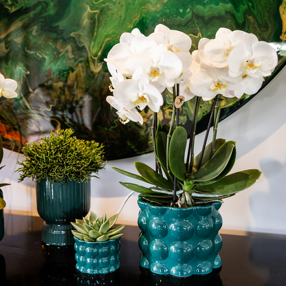 Diabolo sierpot | Ø9cm - Green