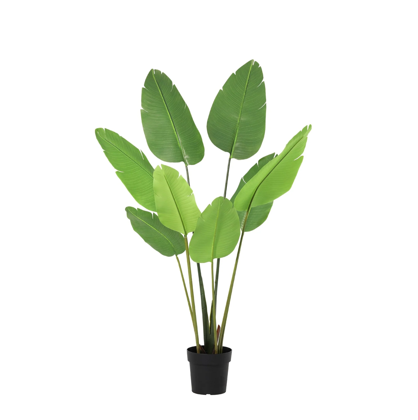 Kunstplant Strelitzia Nicolai - 155cm