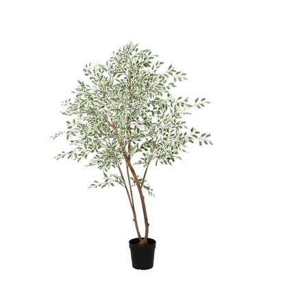 Kunstplant Ficus benjamina variegata - 185cm