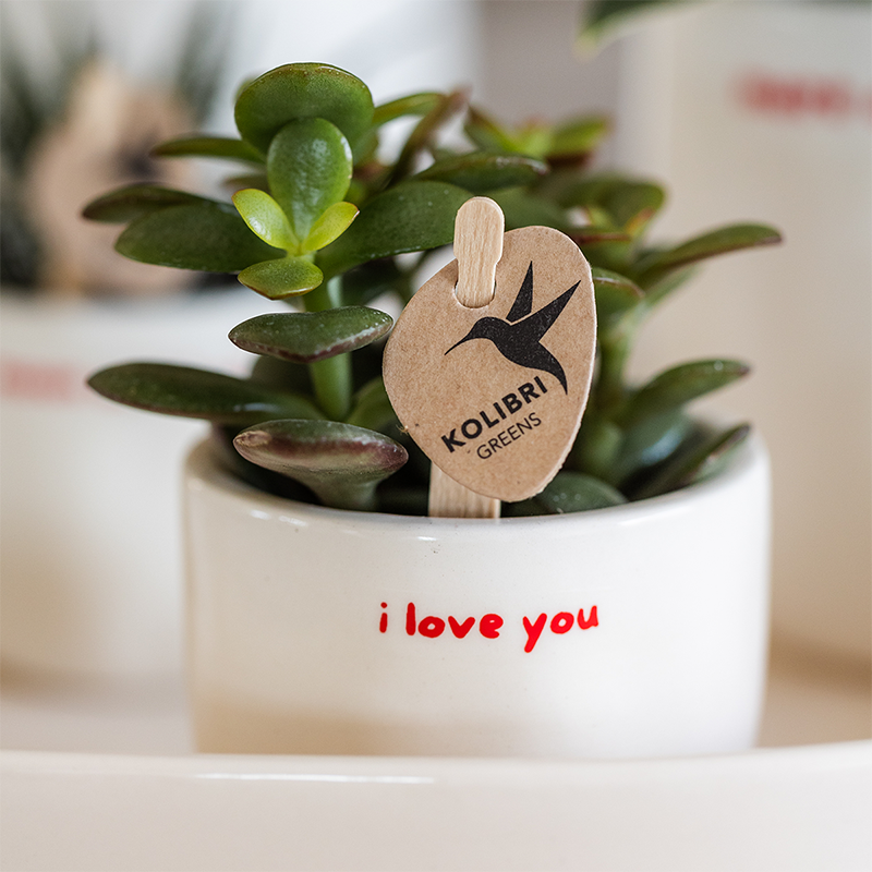 I love you sierpot - Ø6cm