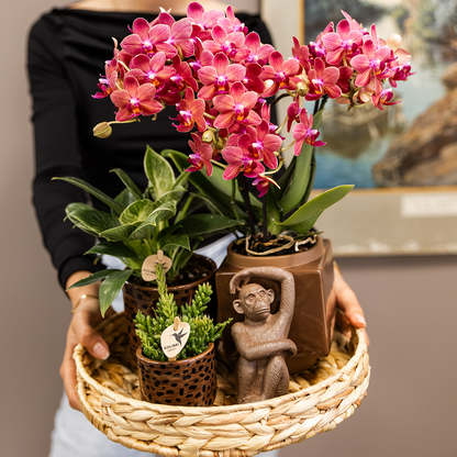 Leopard sierpot - Ø9cm