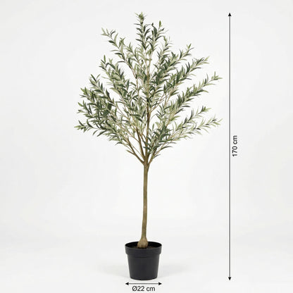 Kunstplant Olijfboom - 172cm