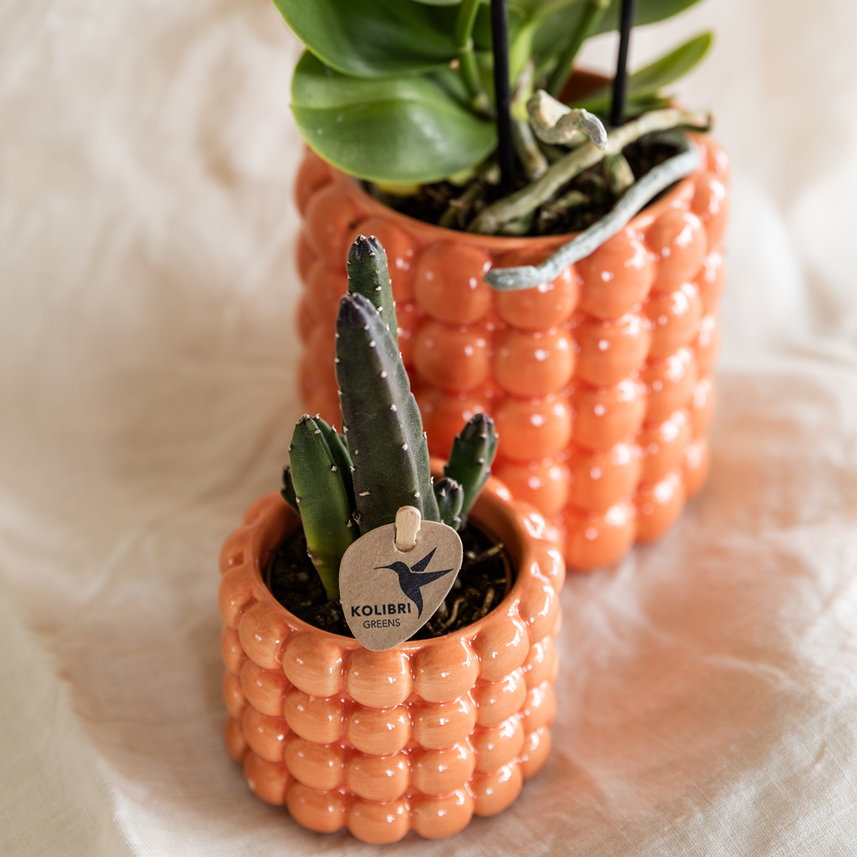 Poppy sierpot - Orange - Ø6cm