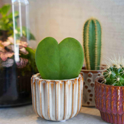 Cadeauset - Love Set