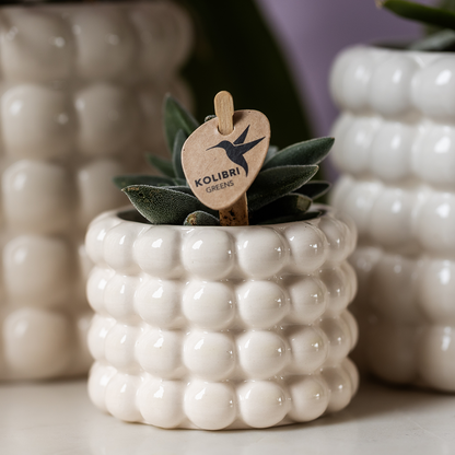 Poppy sierpot - White - Ø6cm