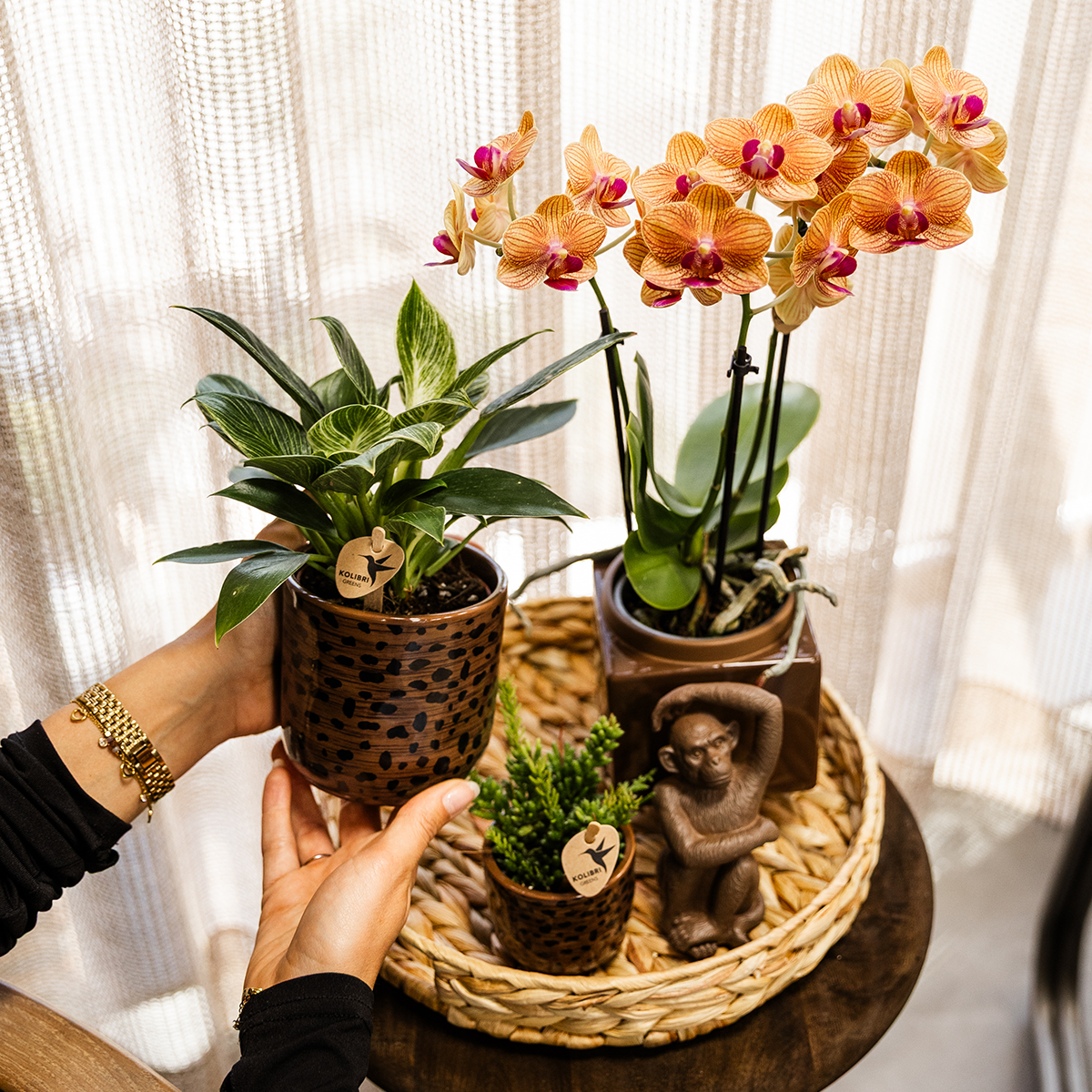 Leopard sierpot - Ø9cm