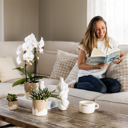 Plantenset Bloom Sand