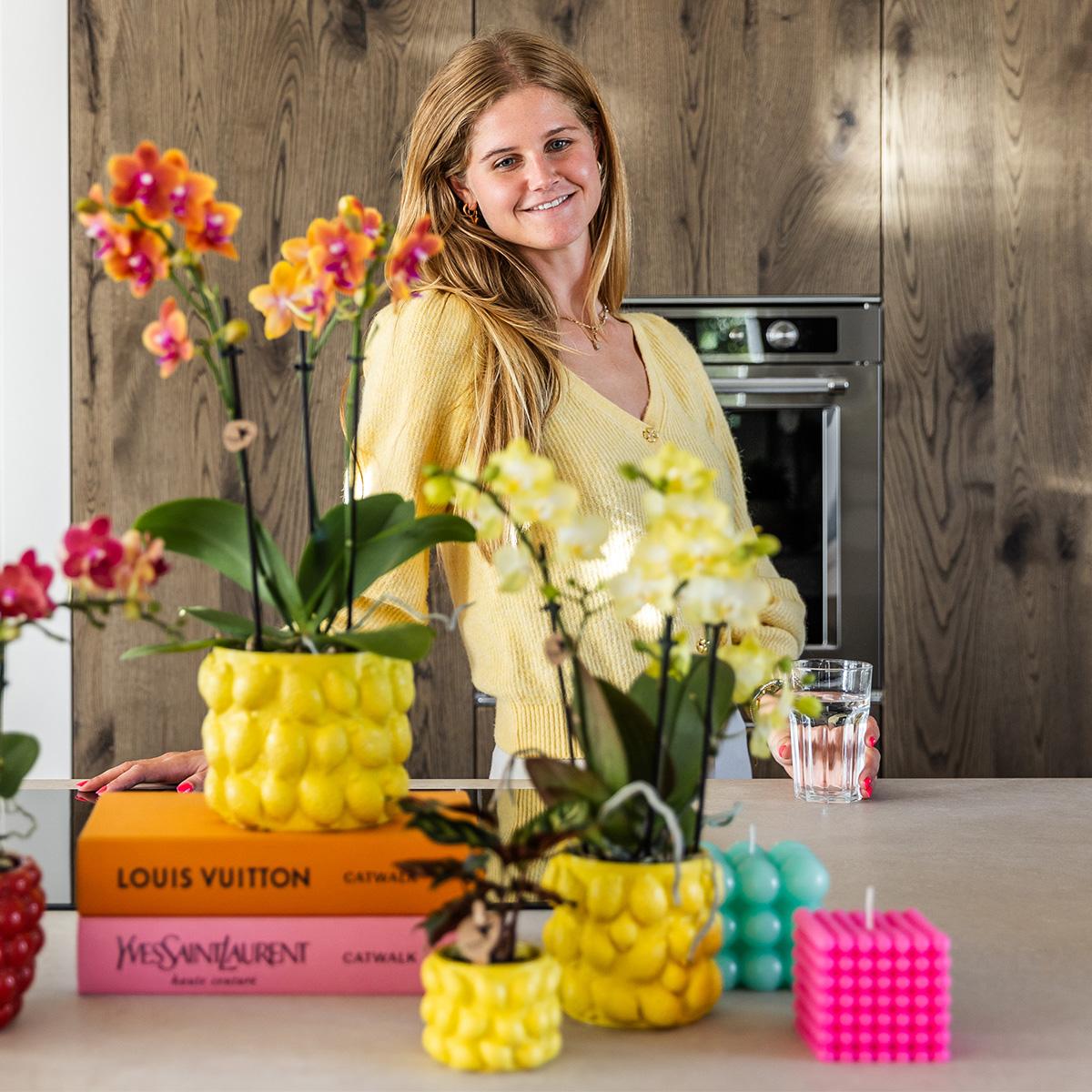 Oranje geurende Phalaenopsis orchidee - Fragrance