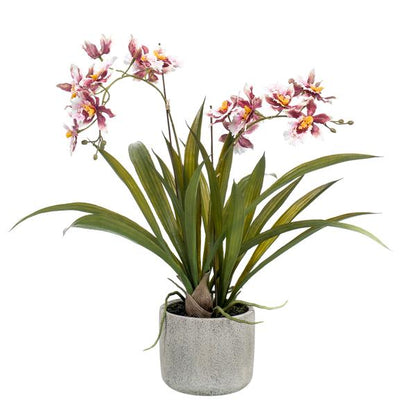 Kunstplant - Orchidee - Bordeaux - 45cm